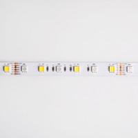 Eco Light LED pásek 300 14,4W/m RGB+CCT 12V IP63 /5m/ EC79875