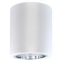 GOLDLUX (Polux) Podhledové bodové svítidlo stropní přisazené kovová trubka JUPITER 10 POLUX DOWNLIGHT E27 SANOPR0050