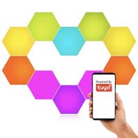 ID3 RGBiC HEXAGON Inteligentní světla 10 kusů LED dálkové ovládání WiFi TUYA LB111