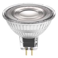 LED žárovka LED MR16 GU5.3 2.6W = 20W 210lm 2700K Teplá Bílá 12V FILAMENT LEDVANCE