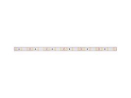 Panlux LED PÁSEK CW 24V 6W 8mm IP20 - 3015 studená bílá (kotouč 5m) PN13200001