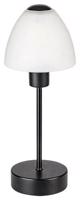 Rabalux Noční lampa Lydia 2296