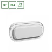 SPECTRUMLED PASTILO 15W CCT 230V 120DEG IP54 IK10 266x137x47mm Bílá OVAL