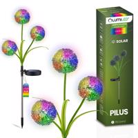 Svítidlo solární zahradní LED PILUS RGB Wbijana Dekorační Kwiat Czosnek LUMILED